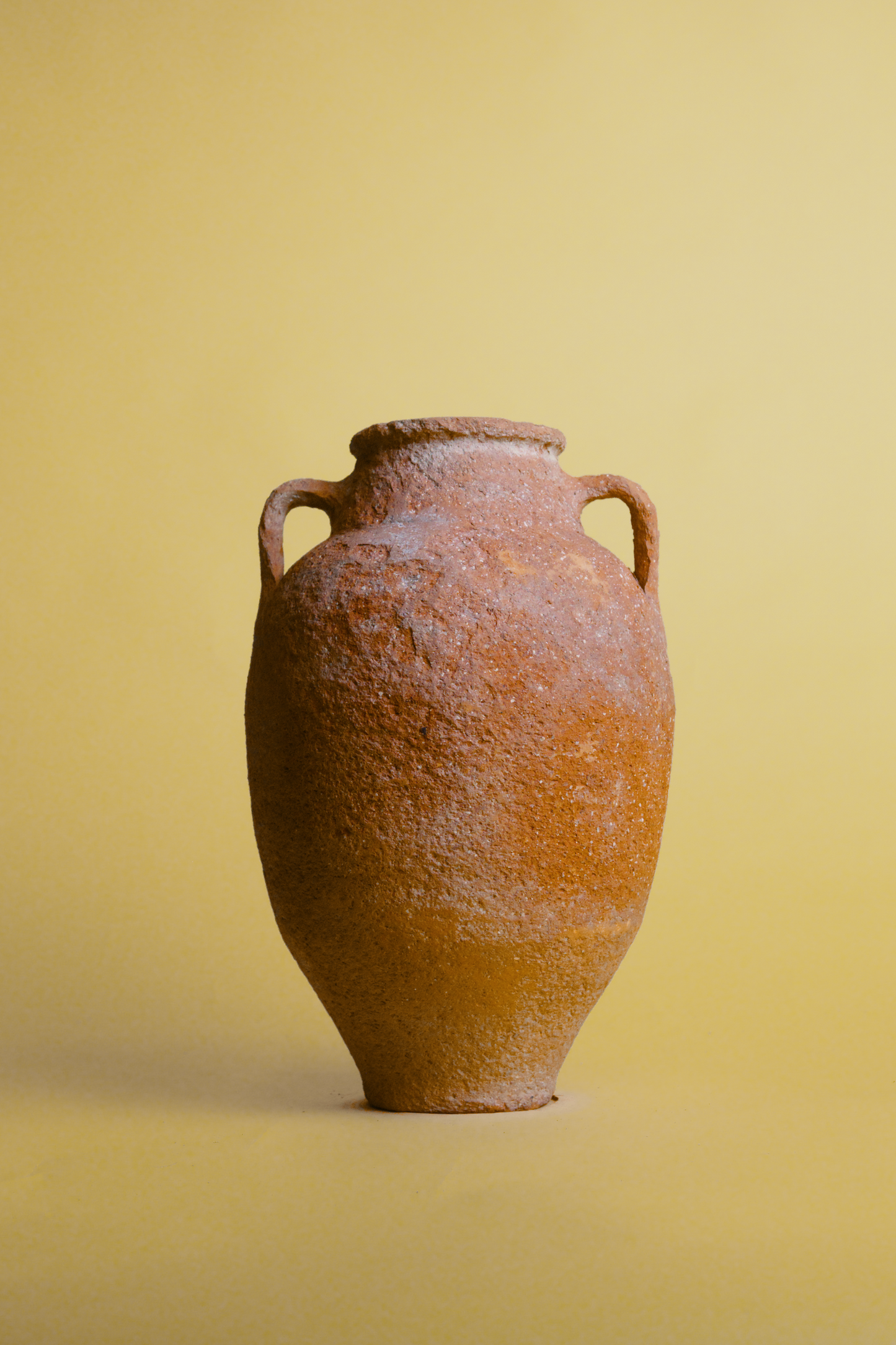 Textured Clay Storage Amphora