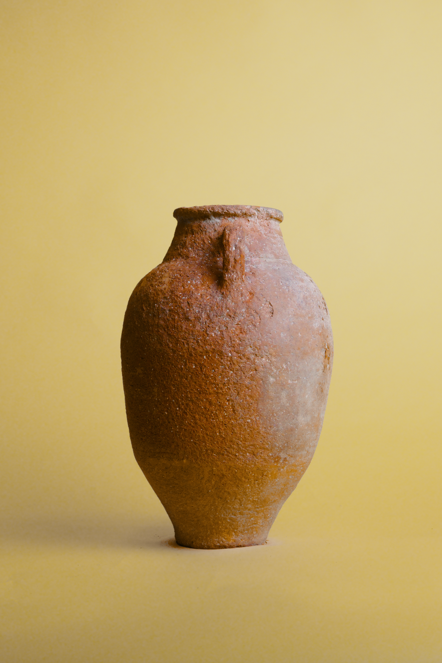 Textured Clay Storage Amphora