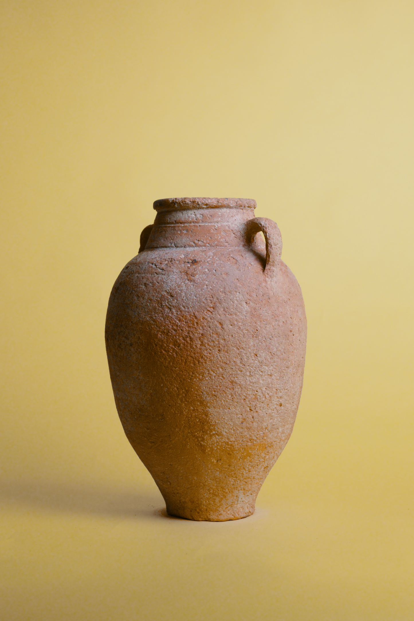 Textured Clay Storage Amphora