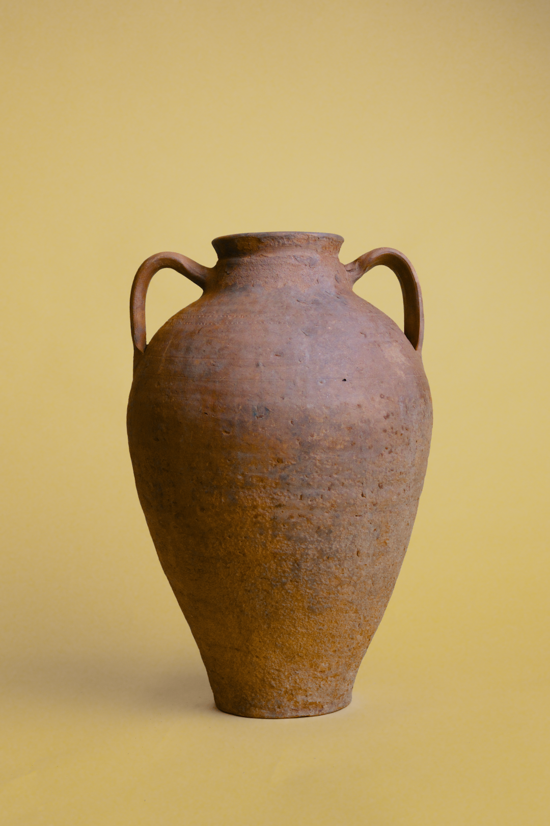 Double-Handled Terracotta Amphora Pot