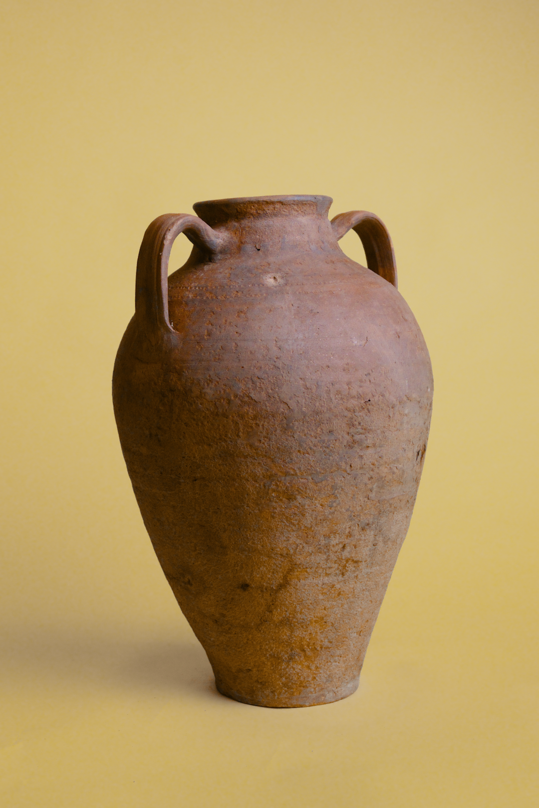 Double-Handled Terracotta Amphora Pot