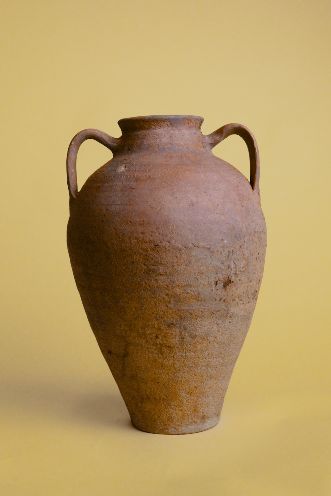 Double-Handled Terracotta Amphora Pot